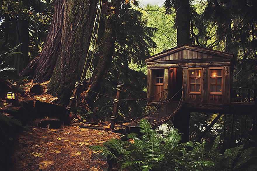 Дом на дереве (Сиэтл, США)