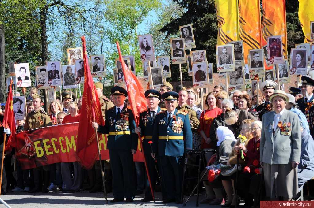 фото с сайта администрации Владимира