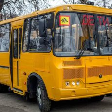 До конца года во Владимирской области появятся новые автомобили скорой помощи и школьные автобусы