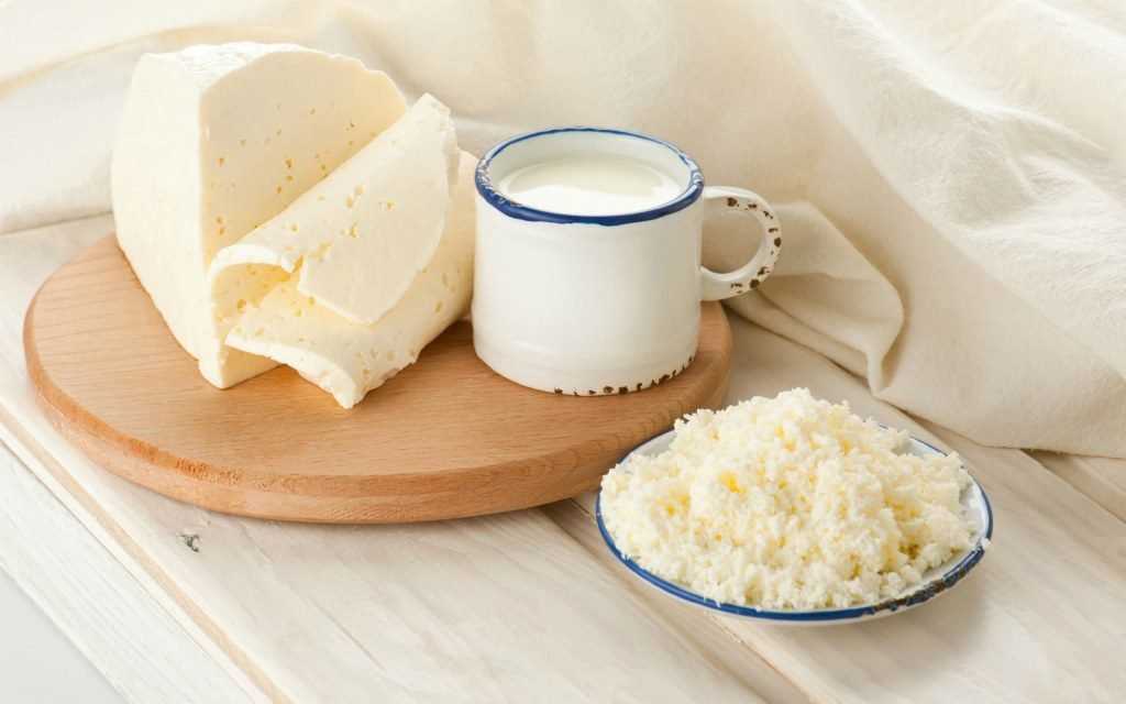 Сыр и молоко