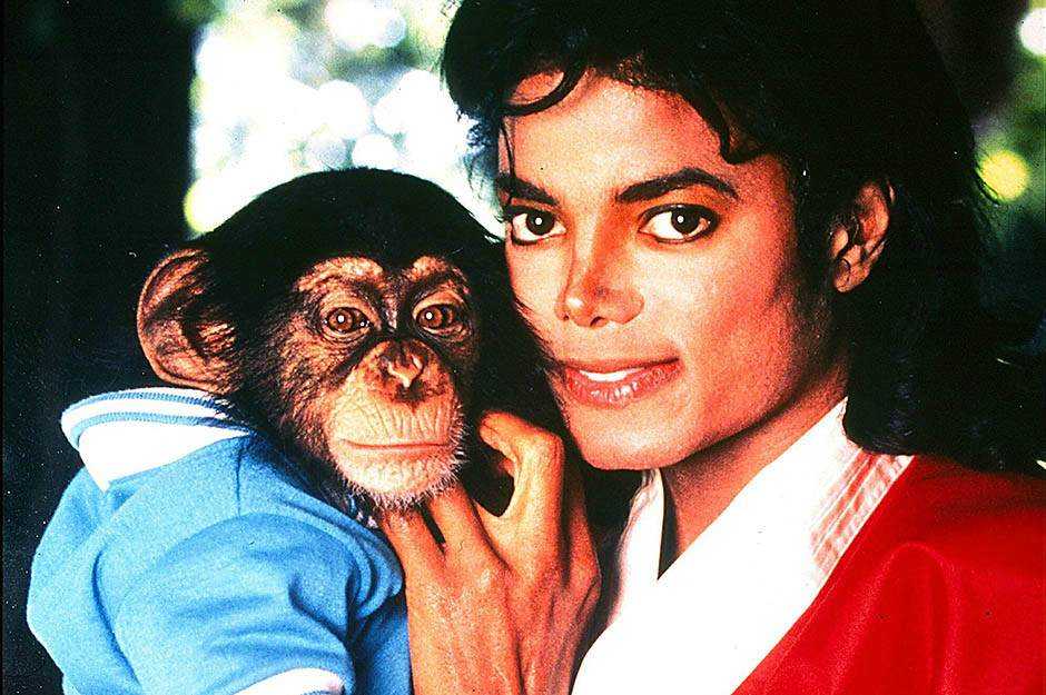Шимпанзе Майкла Джексона