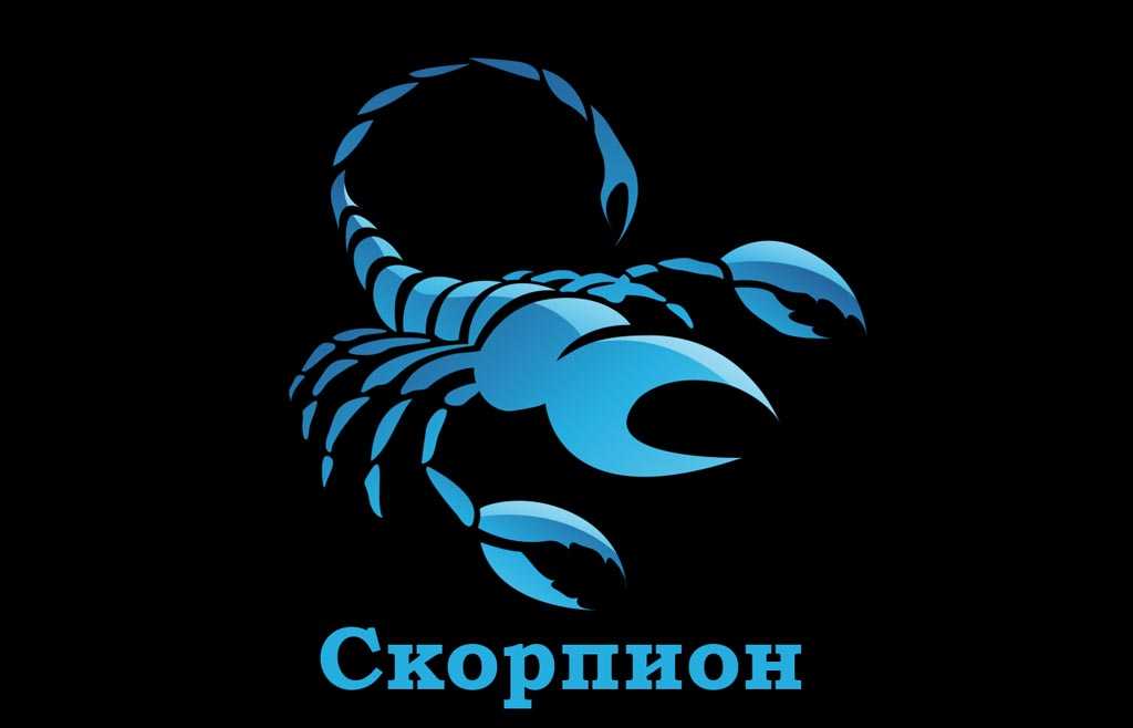 декабрь 2019 скорпион