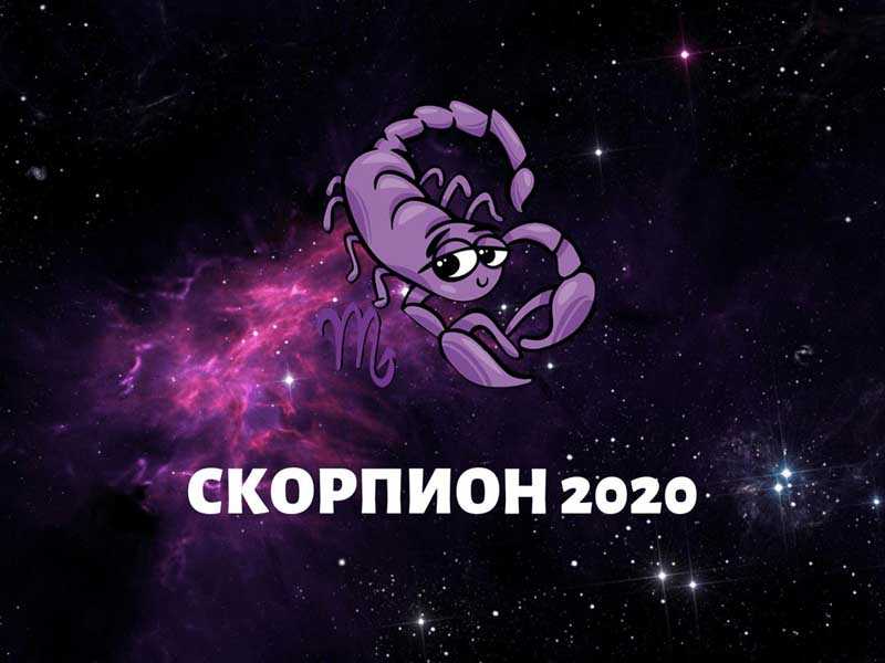 скорпион февраль 2020 года