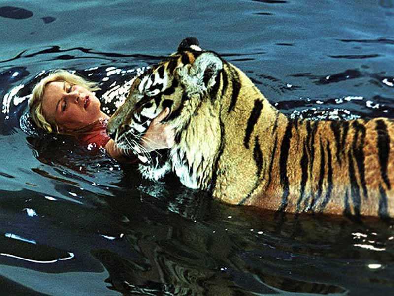 Когда режиссер узнал, что в Одессе, где снимали кино, пребывал популярный артист Василий Лановой, он стал уговаривать его сняться в маленькой сцене, в которой тигры плыли к берегу.