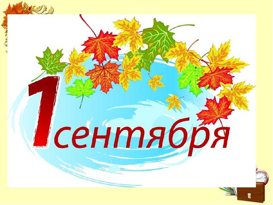 Учебный год во Владимире планируют начать 1 сентября и очно