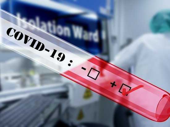 Во Владимирской области подтвердились 35 новых случаев коронавируса