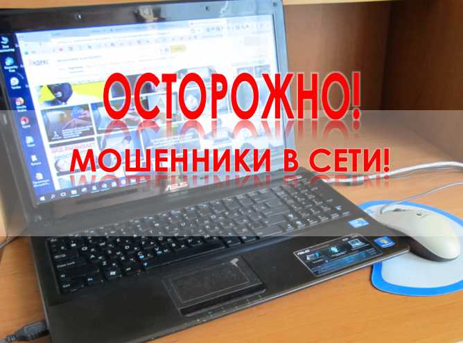 фото:http://kcsonsjamzha.soc35.ru