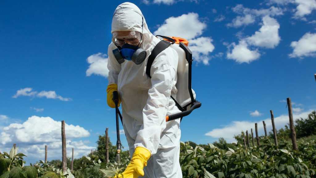 На российский рынок попали поддельные пестициды