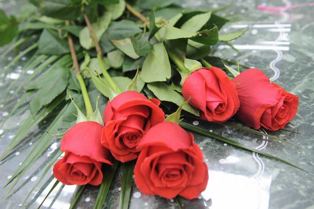 Новые исследования показали, какие цветы российские женщины хотят получить на 8 марта