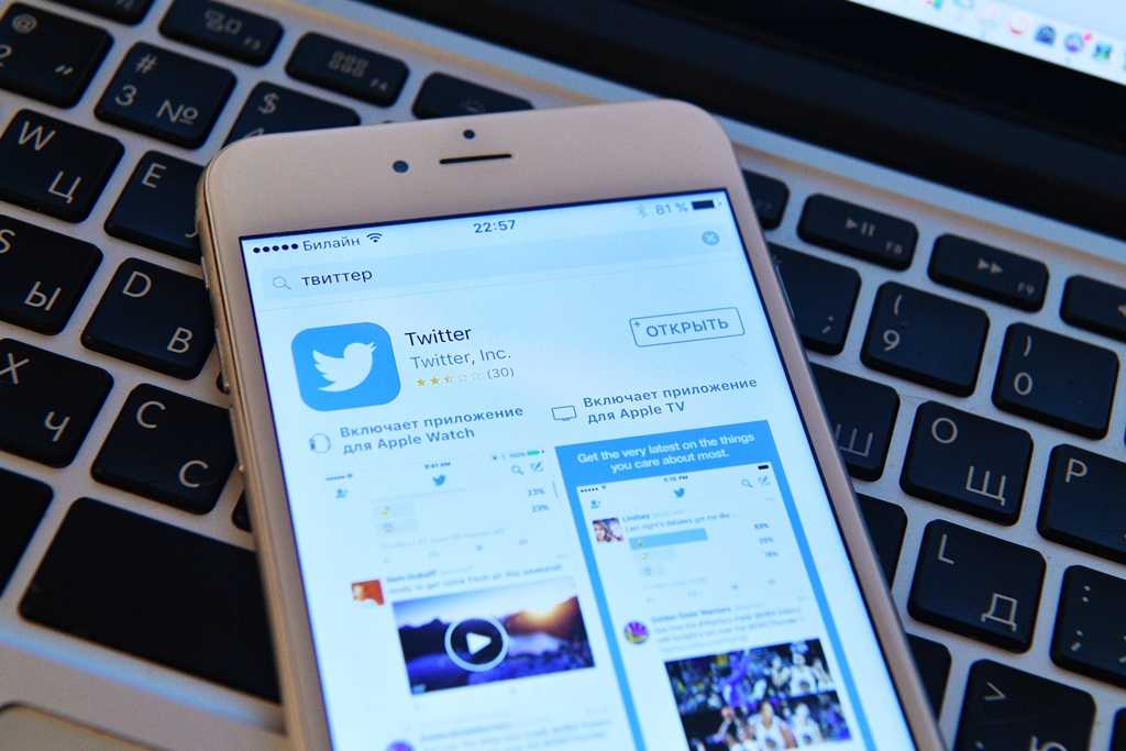Twitter обжаловал российские штрафы за незаконный контент