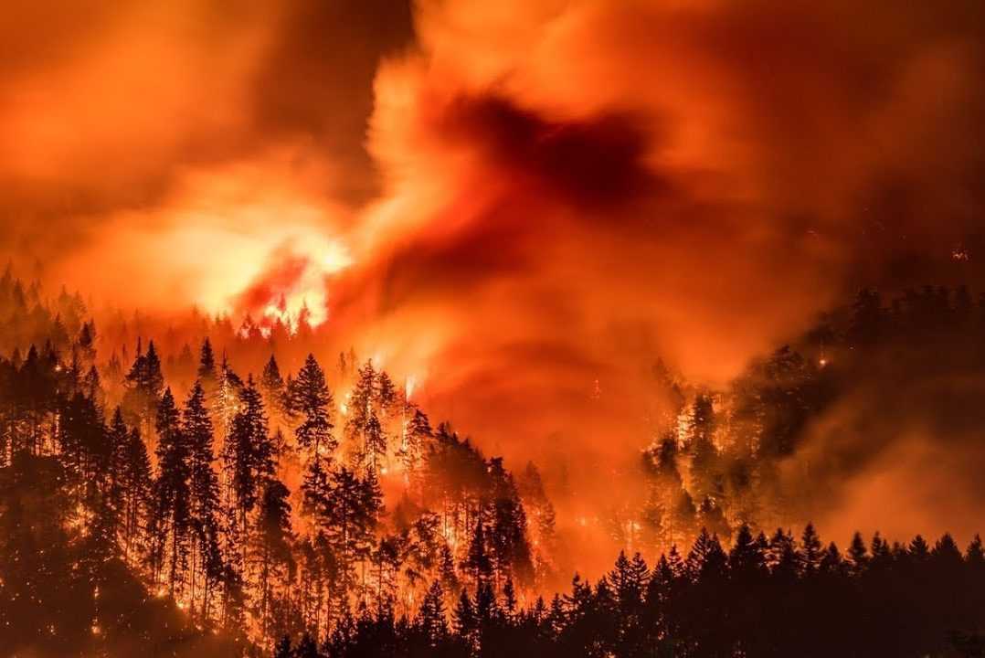 Занижение данных по лесным пожарам в Иркутской и Якутской областях