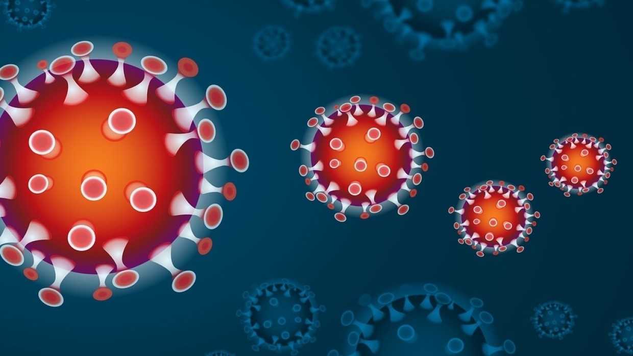 Ученые в США смогли нейтрализовать коронавирус наноловушками