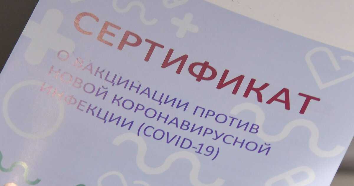 В России заблокировано около 150 сайтов о продаже сертификатов о вакцинации