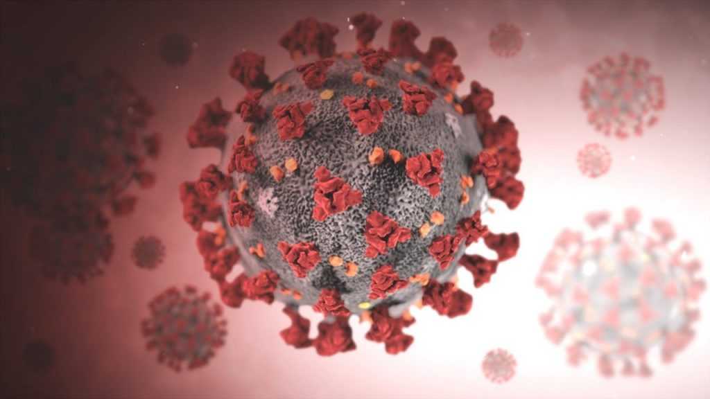 Более тысячи человек заразилось новыми штаммами коронавируса в России