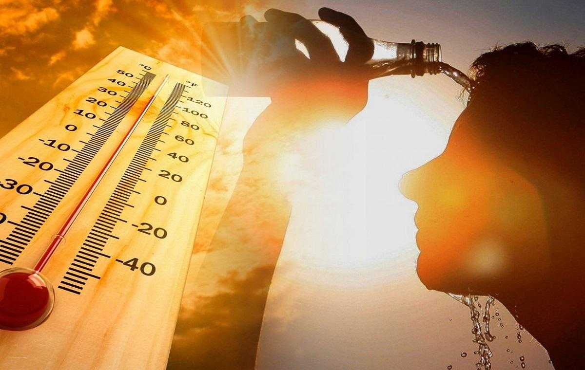 Аномальная жара задержится во Владимирской области почти на неделю