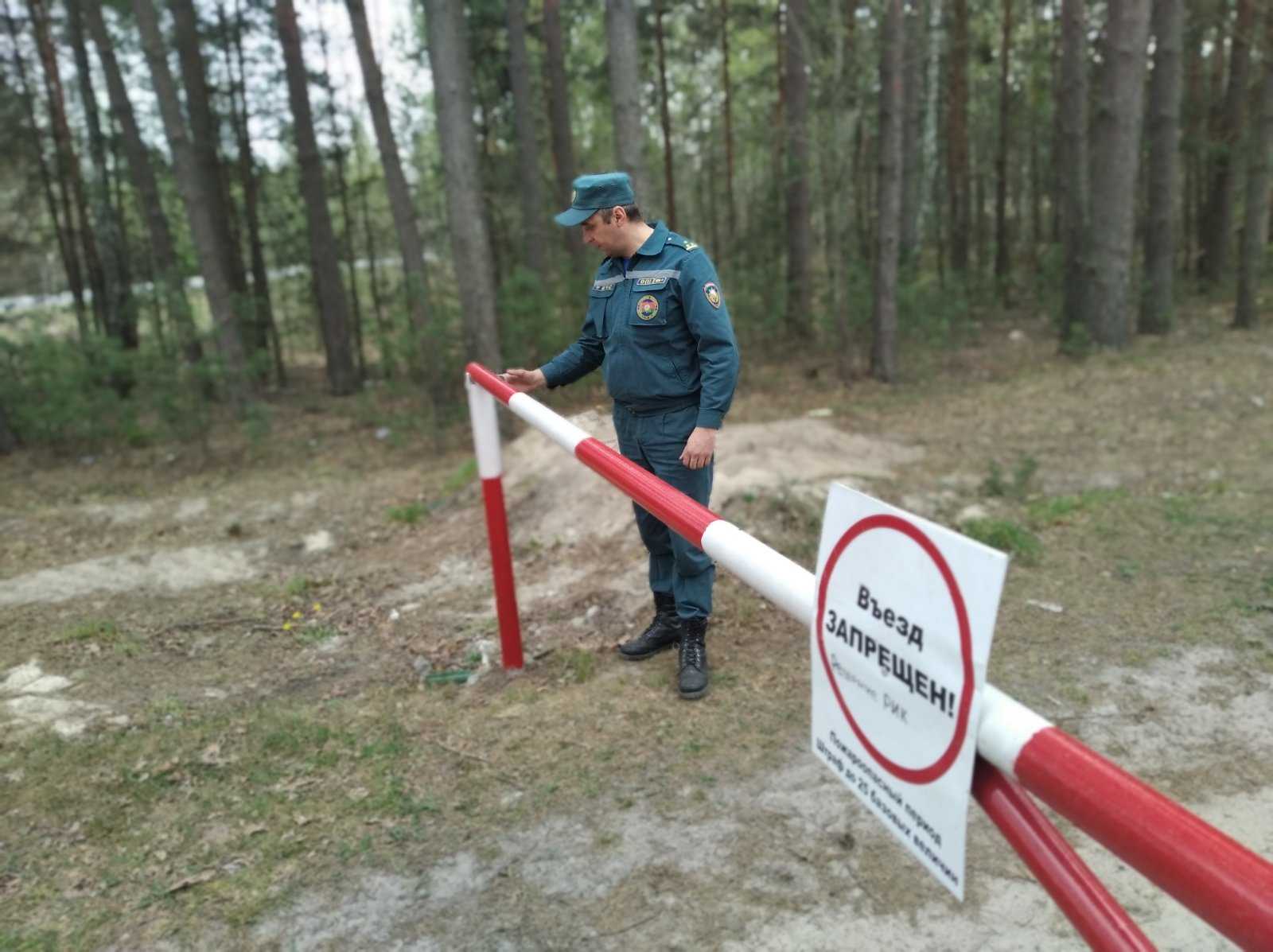 Из-за угрозы пожаров закрыли для посещения леса в Московской области