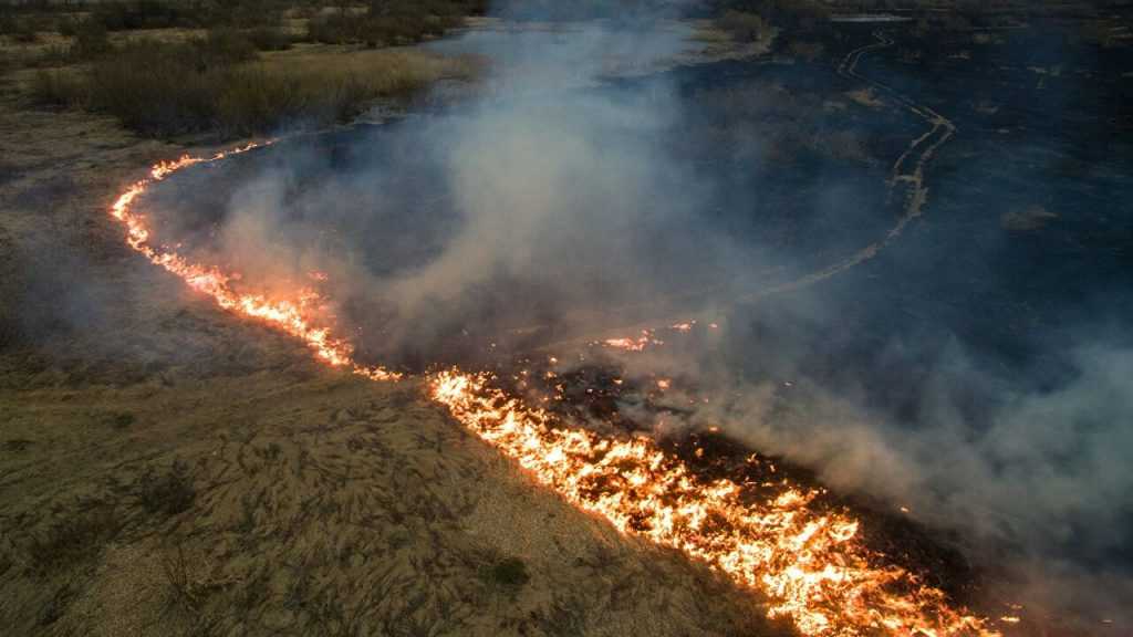 Пожарные Мордовии сдерживают распространение огня