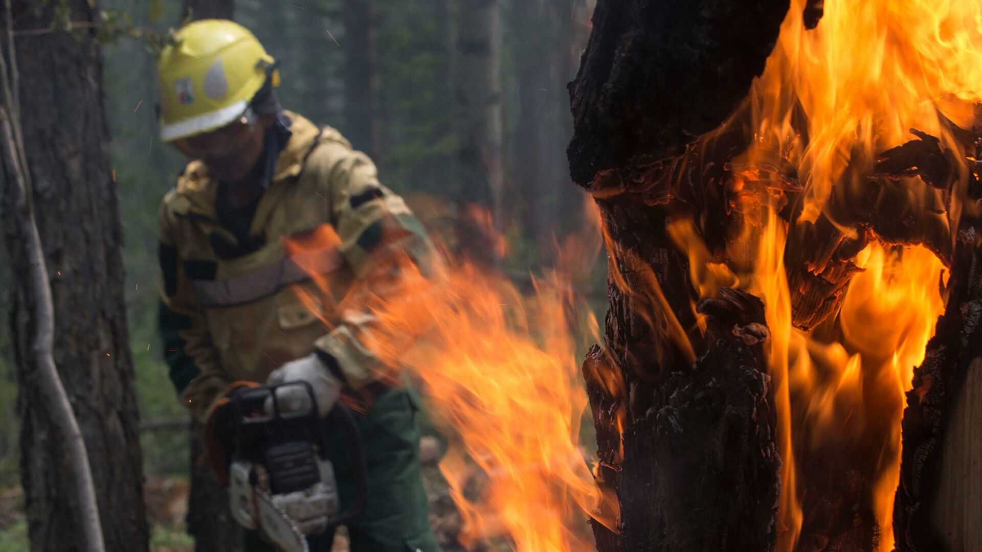 Пожарные Мордовии сдерживают распространение огня