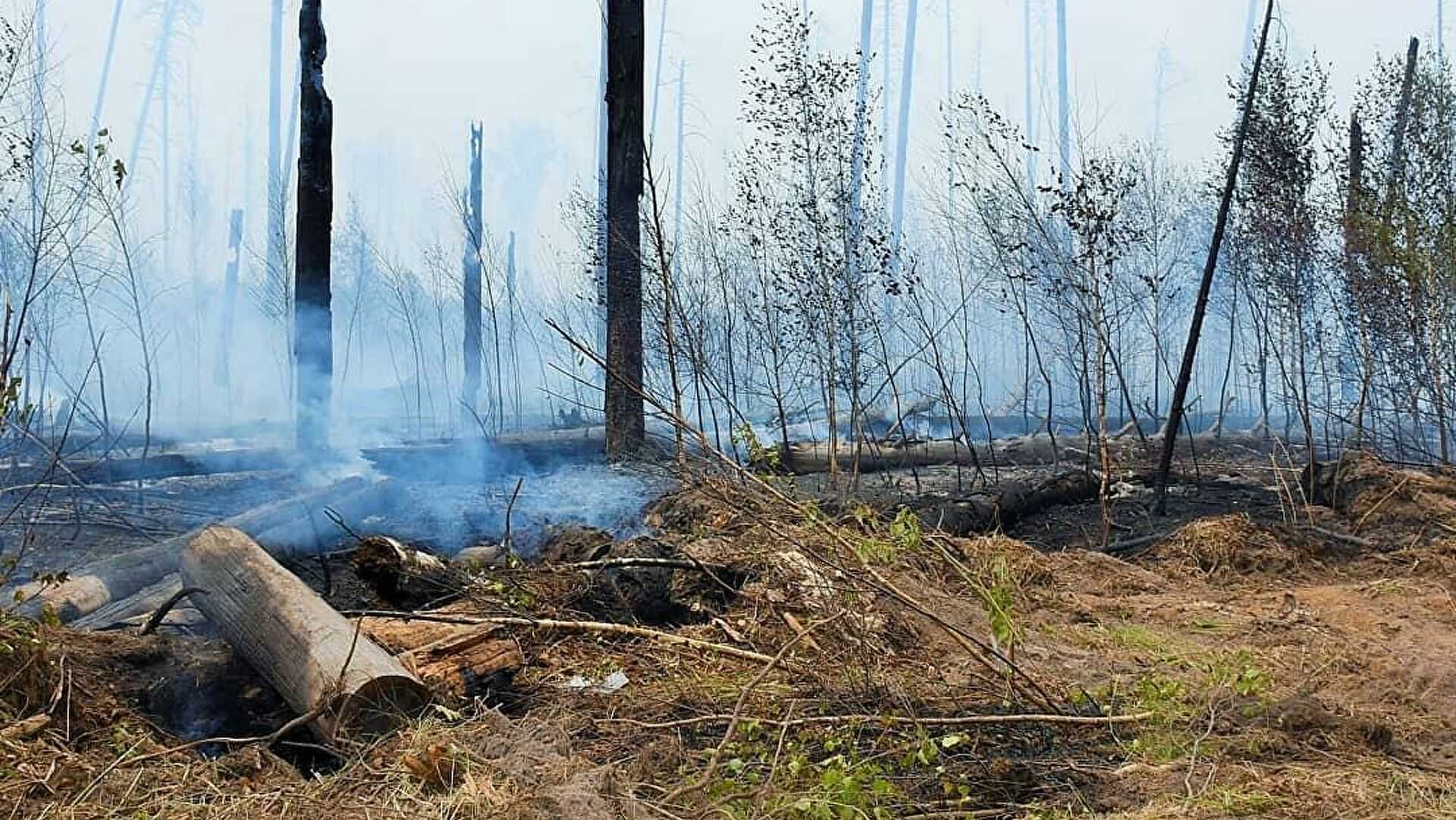 В заповеднике Мордовии увеличивается площадь пожара