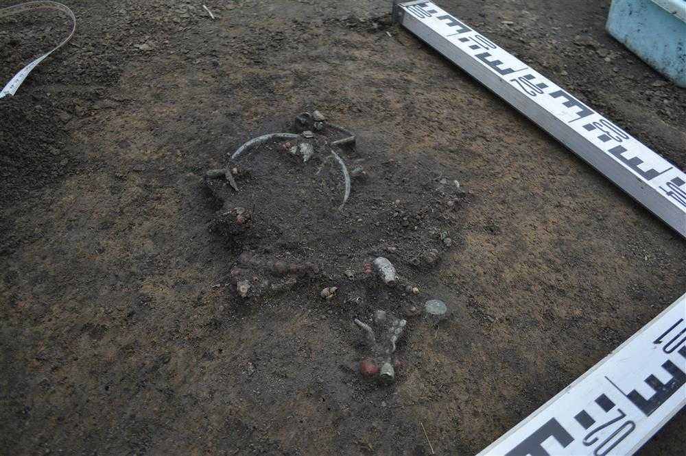 фото https://www.archaeolog.ru/ru/