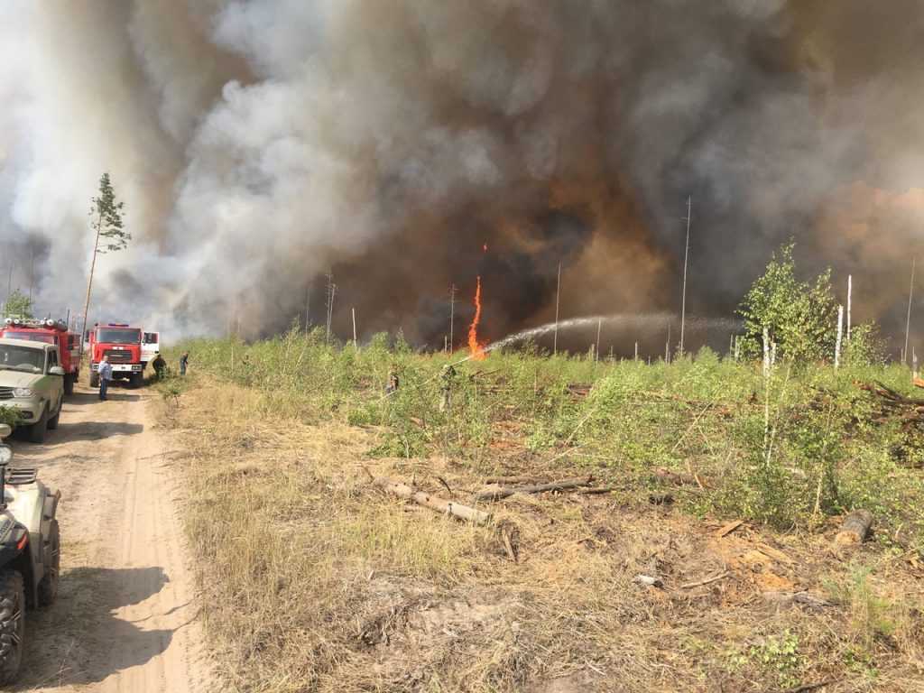 В заповеднике Мордовии увеличивается площадь пожара