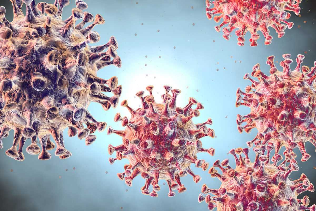 Заболевших новым штаммом коронавируса в России пока не обнаружены