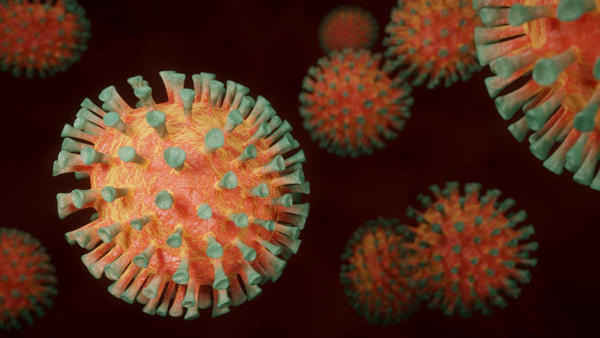 Вирусолог предположил, когда в России будет спад заболеваемости коронавирусом