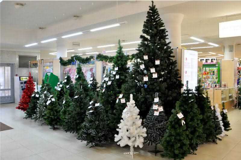 Новогодние елки в России подорожали на 30%