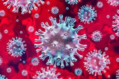 Минобрнауки оценили новые меры в ВУЗах из-за коронавируса