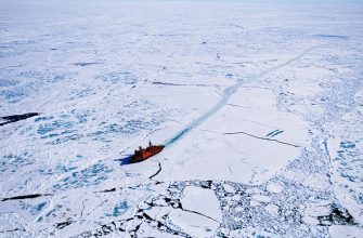 Россия имеет особые права на Арктику и не допустит ограничений