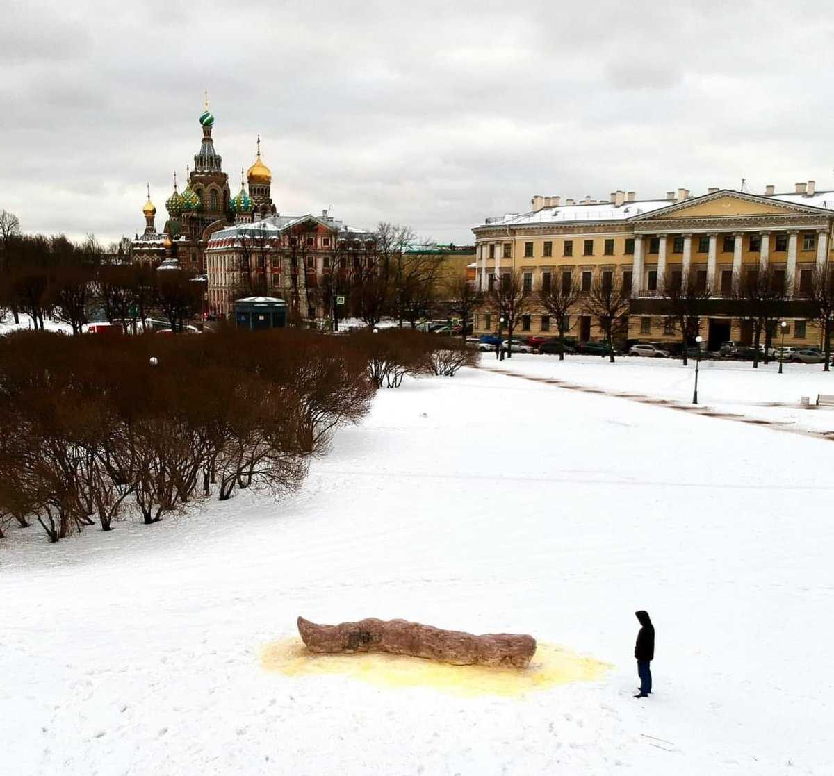 В Петербурге задержан преступник: он создал художественные фекалии на Марсовом поле