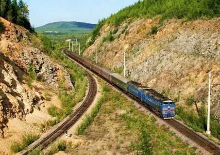 Владимир Путин поручил создать варианты железнодорожного маршрута до Баренцевого моря 