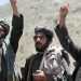 Талибан запретил выращивание мака на территории Афганистана