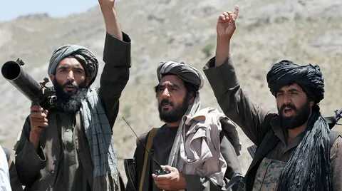 Талибан запретил выращивание мака на территории Афганистана