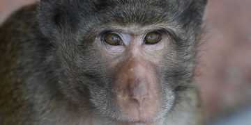 Фото: livescience.com