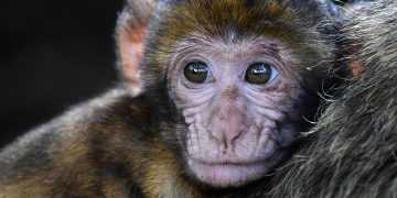 Фото: discover24.ru
