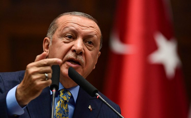 Эрдоган: "Мы 11 лет боремся с сирийскими нелегалами, а Европы из-за Украины паникует"