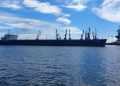 Первый груз с зерном вышел из порта Бердянска, который контролирует ВС России