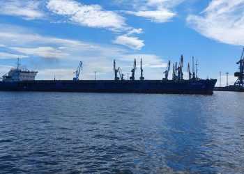 Первый груз с зерном вышел из порта Бердянска, который контролирует ВС России