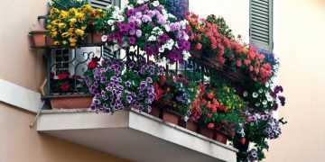 Фото: dizainexpert.ru