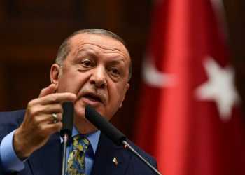 Турция сообщила, что Эрдоган проведет переговоры с Путиным в Иране 18-19 июля