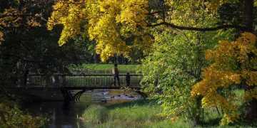 Фото: iz.ru