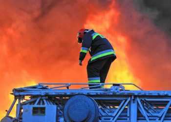 Фото: novostivl.ru