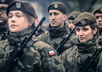 Фото: dp.ru