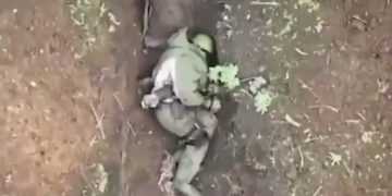 Фото: m24.ru
