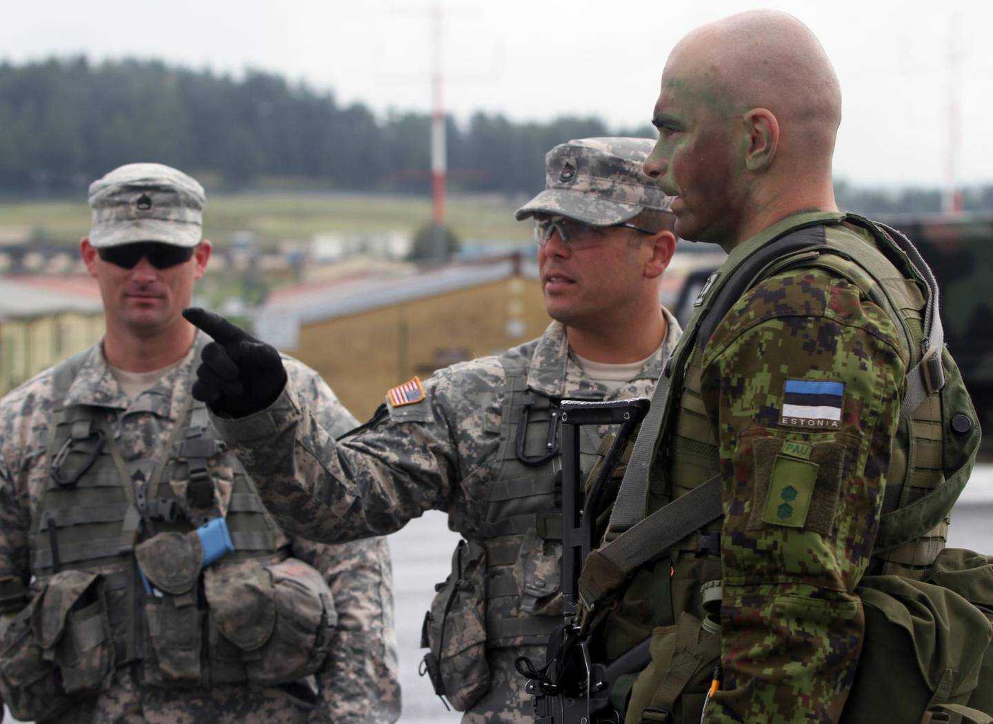 Эстонская армия фото