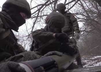 Фото: m24.ru