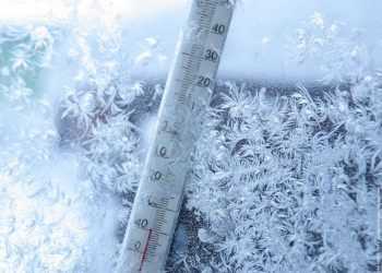 Фото: prichaganie.ru