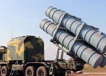 Фото: shraibikus.com