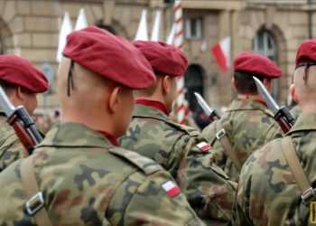 Фото: rusdozor.ru